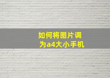 如何将图片调为a4大小手机