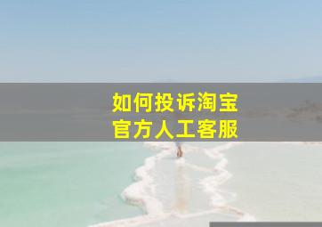 如何投诉淘宝官方人工客服