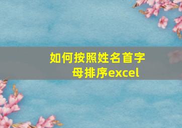 如何按照姓名首字母排序excel