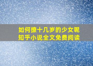 如何撩十几岁的少女呢知乎小说全文免费阅读