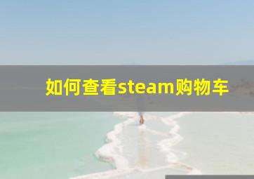 如何查看steam购物车