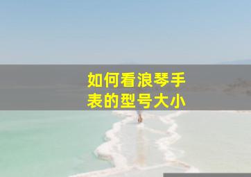 如何看浪琴手表的型号大小