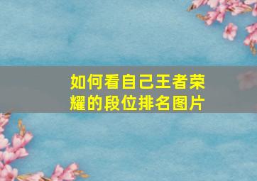 如何看自己王者荣耀的段位排名图片