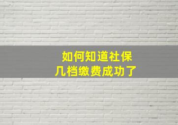 如何知道社保几档缴费成功了