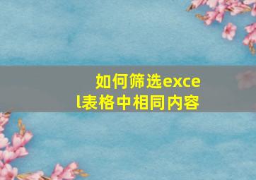 如何筛选excel表格中相同内容