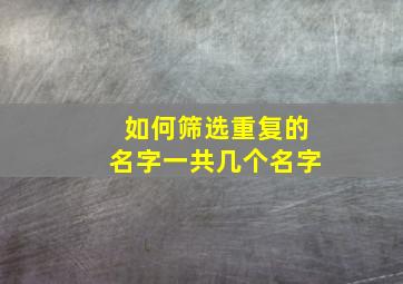 如何筛选重复的名字一共几个名字