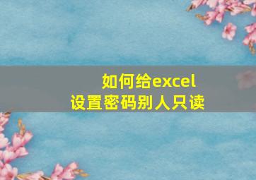 如何给excel设置密码别人只读