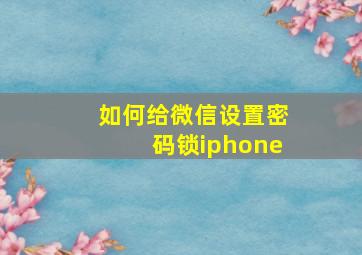 如何给微信设置密码锁iphone