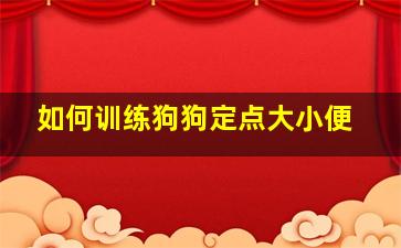 如何训练狗狗定点大小便