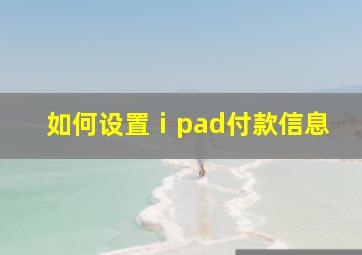 如何设置ⅰpad付款信息