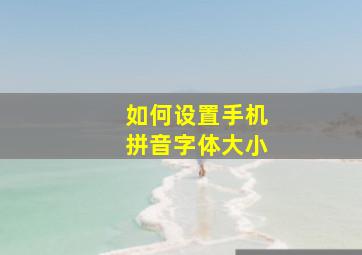 如何设置手机拼音字体大小