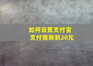 如何设置支付宝支付限额到20元