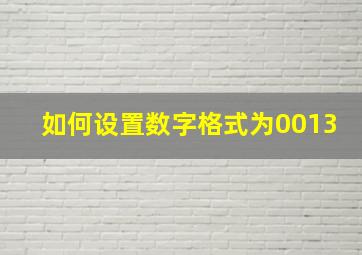 如何设置数字格式为0013