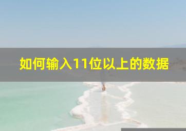 如何输入11位以上的数据