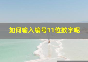 如何输入编号11位数字呢