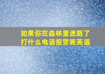 如果你在森林里迷路了打什么电话报警呢英语