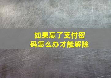 如果忘了支付密码怎么办才能解除