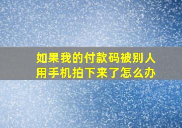 如果我的付款码被别人用手机拍下来了怎么办