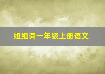 姐组词一年级上册语文