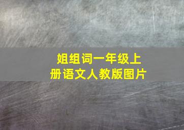 姐组词一年级上册语文人教版图片