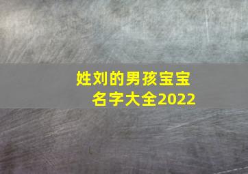 姓刘的男孩宝宝名字大全2022