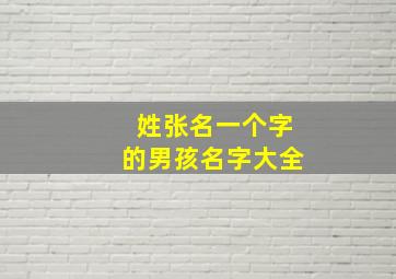 姓张名一个字的男孩名字大全