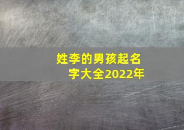 姓李的男孩起名字大全2022年