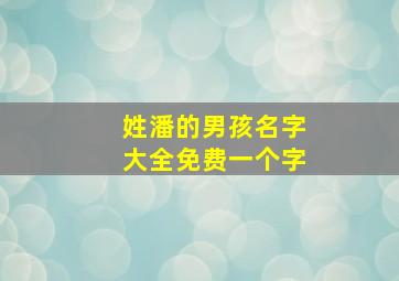 姓潘的男孩名字大全免费一个字