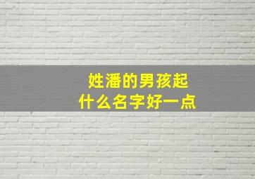 姓潘的男孩起什么名字好一点