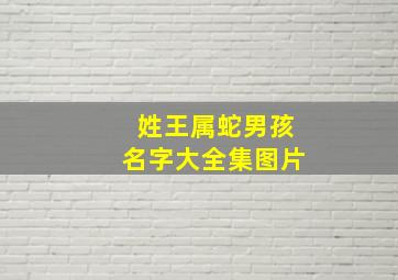 姓王属蛇男孩名字大全集图片