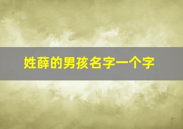 姓薛的男孩名字一个字