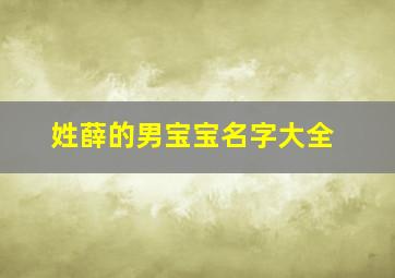 姓薛的男宝宝名字大全