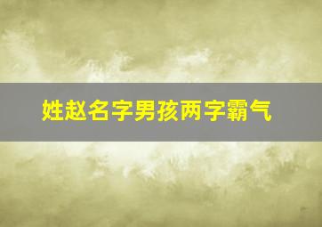 姓赵名字男孩两字霸气