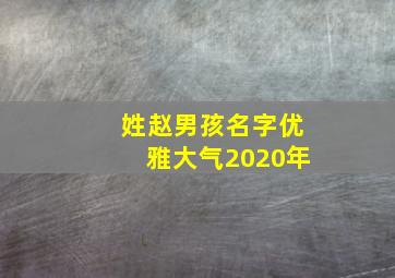 姓赵男孩名字优雅大气2020年