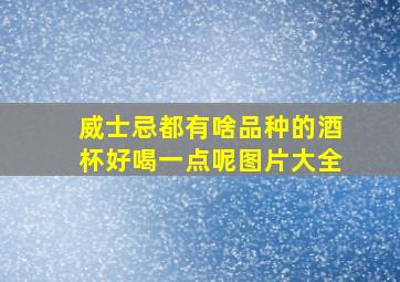 威士忌都有啥品种的酒杯好喝一点呢图片大全