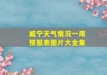 威宁天气情况一周预报表图片大全集