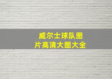 威尔士球队图片高清大图大全