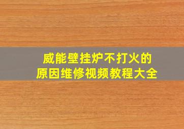 威能壁挂炉不打火的原因维修视频教程大全