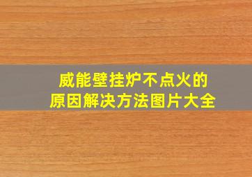 威能壁挂炉不点火的原因解决方法图片大全