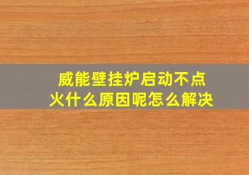 威能壁挂炉启动不点火什么原因呢怎么解决