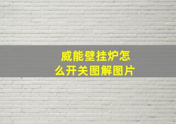 威能壁挂炉怎么开关图解图片