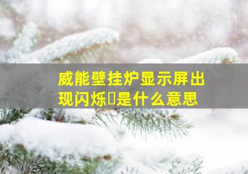 威能壁挂炉显示屏出现闪烁⏳是什么意思