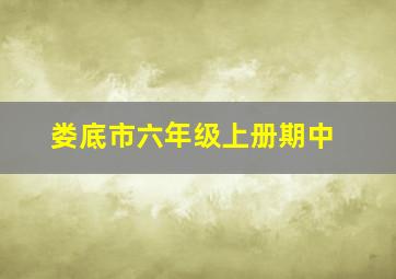 娄底市六年级上册期中