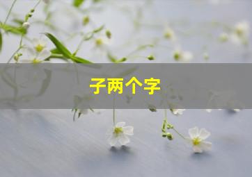 子两个字