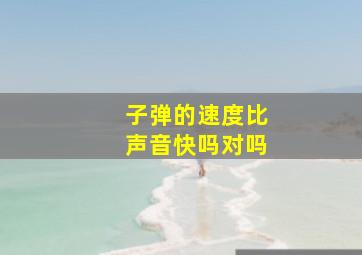 子弹的速度比声音快吗对吗