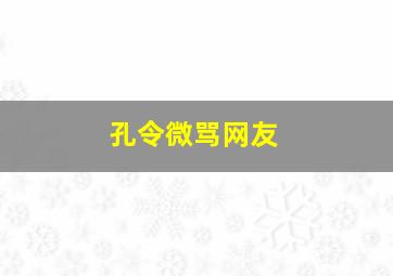 孔令微骂网友