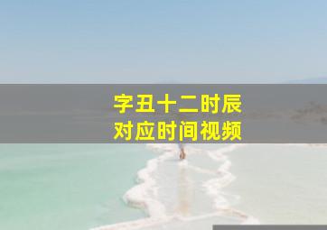 字丑十二时辰对应时间视频