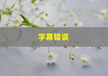 字幕错误