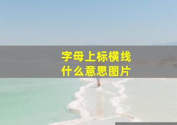 字母上标横线什么意思图片