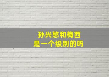 孙兴慜和梅西是一个级别的吗